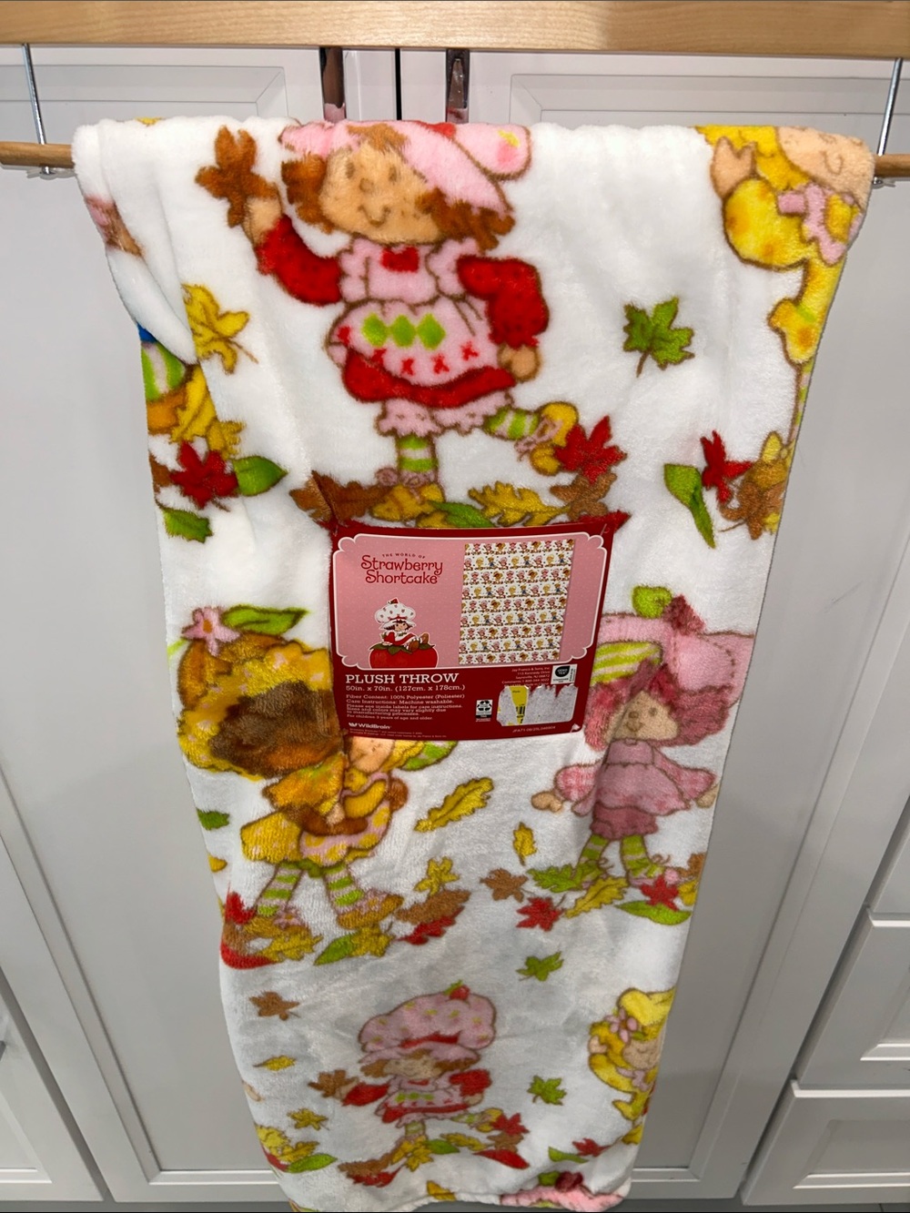 Strawberry Shortcake Fall Leaves Plush Throw Blanket 50”x70”